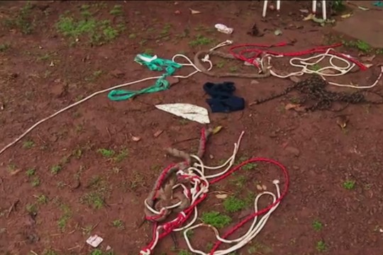 Foto: Reprodução/RPCTV.