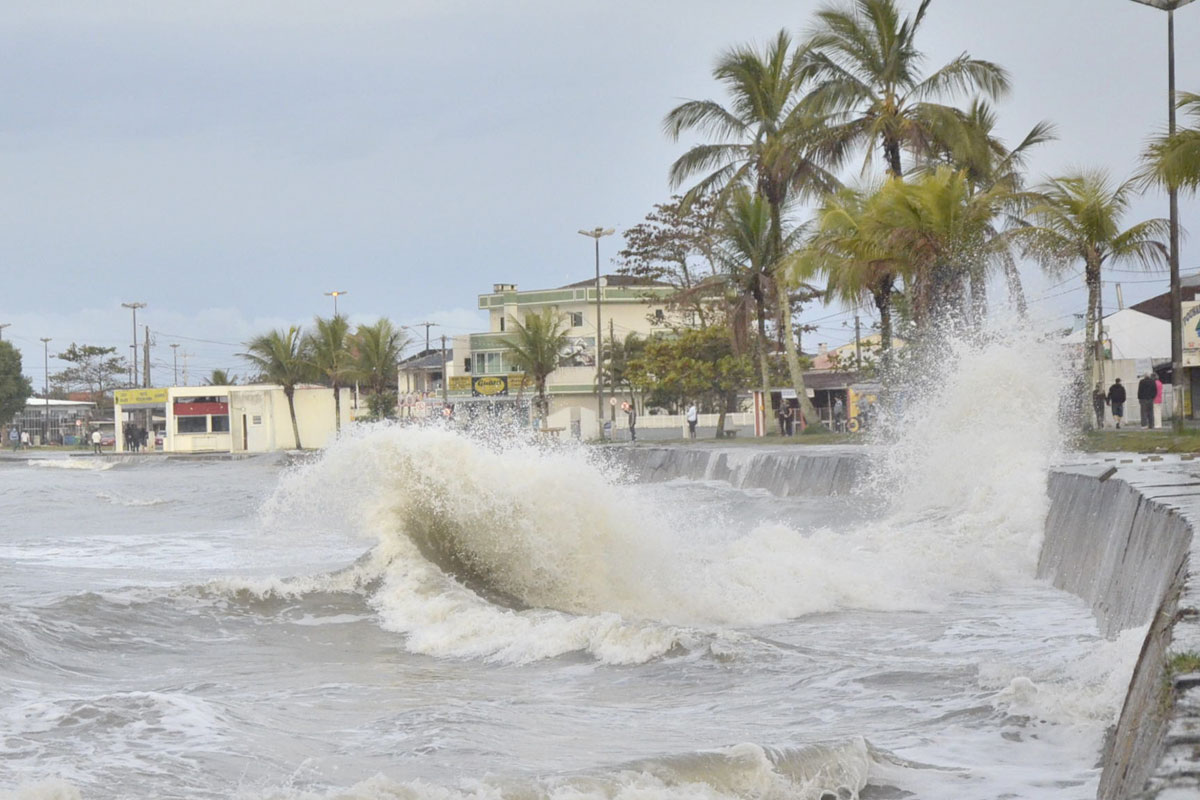 Foto: Arquivo/Tribuna do Paraná.