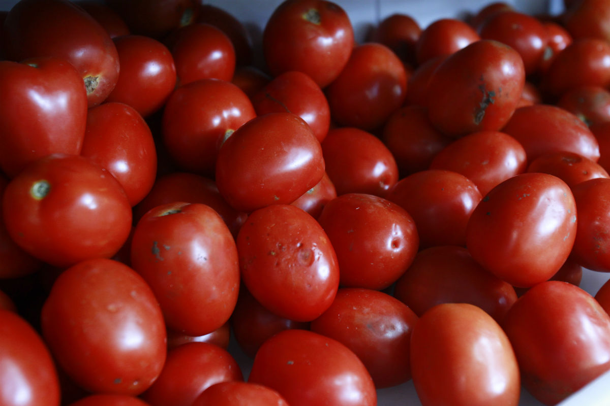 Tomate teve a maior alta em agosto. Foto: Daniel Castellano
