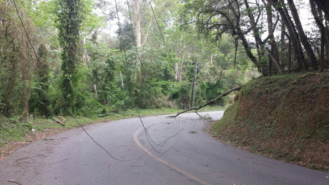 Vento derrubou rede elétrica na Rua do Cemitério Parque iguaçu,no Bigorrilho.
