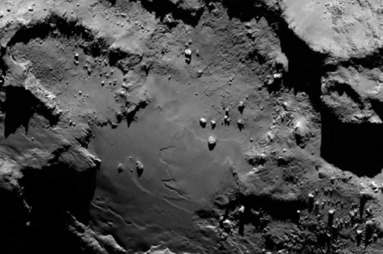 rosetta-1