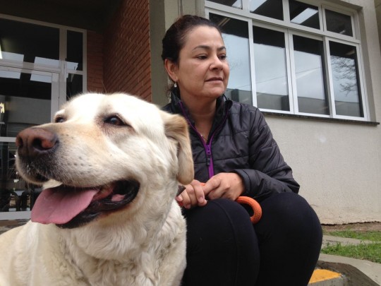 c05a39e8-0452-4520-bd65-03979b0c36fb