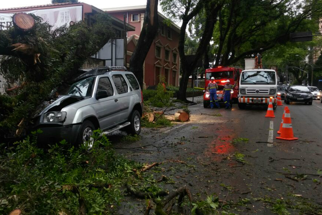 Foto: Daniel Castellano