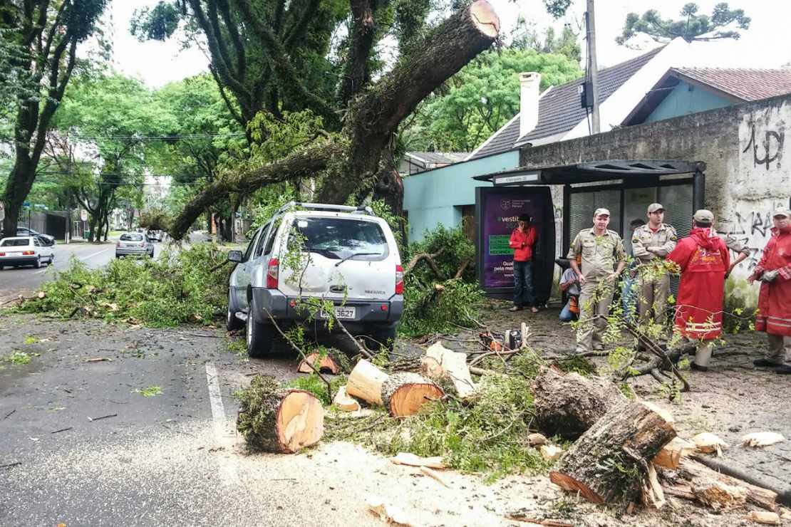 Foto: Daniel Castellano