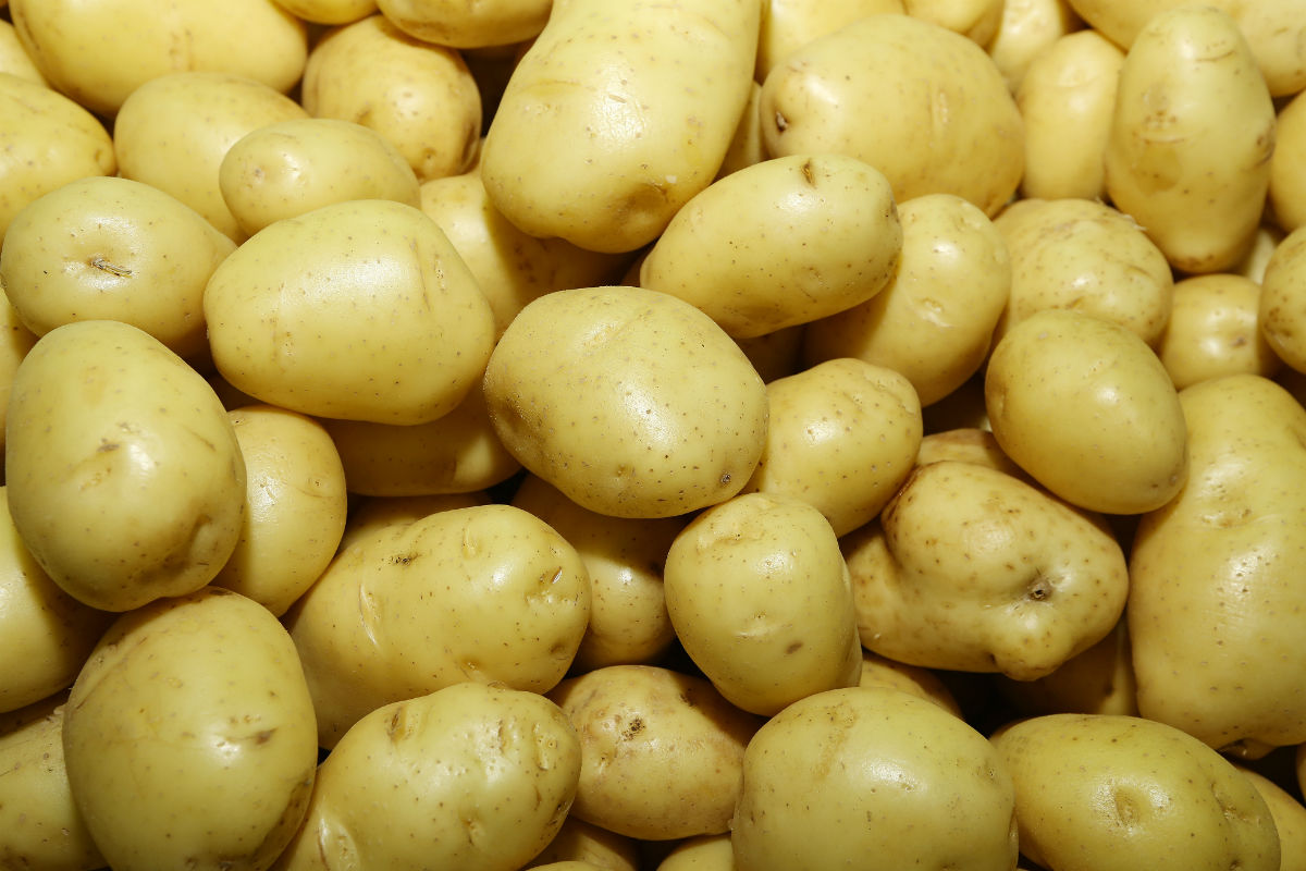 Batata ficou 29,58% mais barata em janeiro de 2017, segundo o Dieese. Foto: Giuliano Gomes