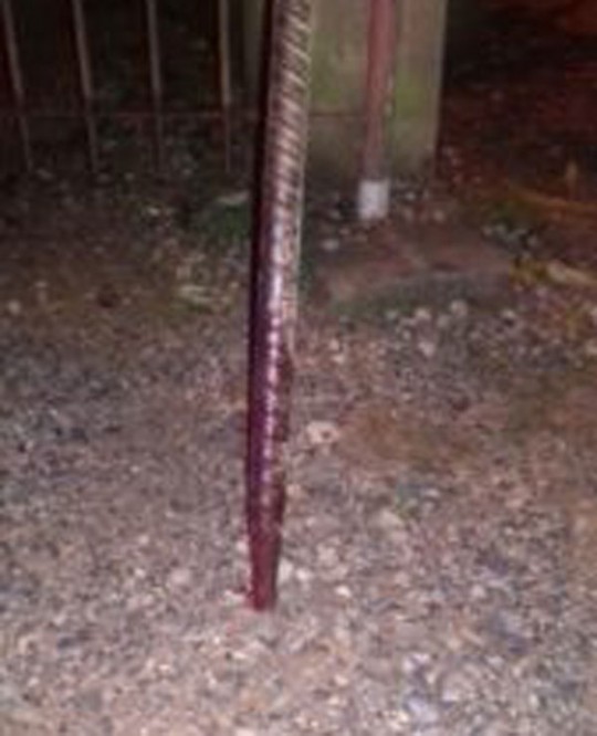 Apenas um golpe foi necessário para tirar a vida do homem. Foto: Colaboração/Jornal Rio Branco Notícias.