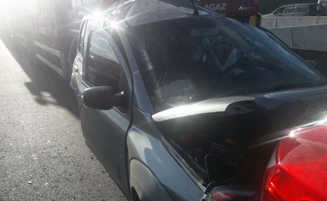 Foto: Colaboração/Michael Martins.