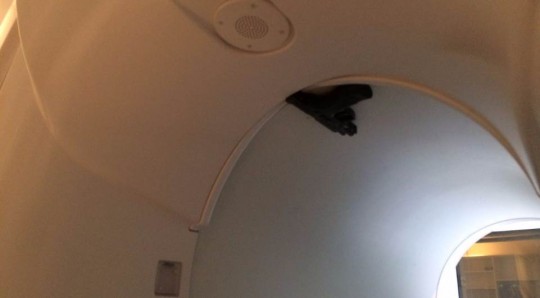 Foto: Colaboração.