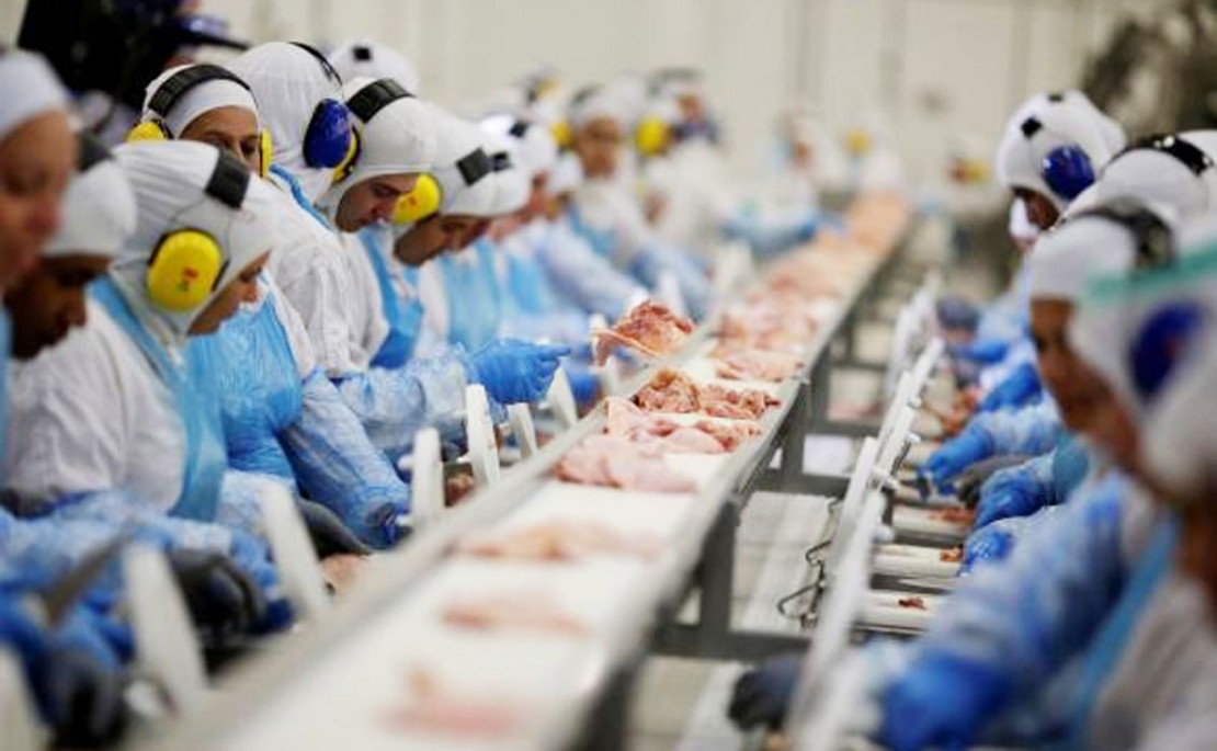 Governo interditou mais dois frigoríficos no Paraná . Foto: Agência Brasil.