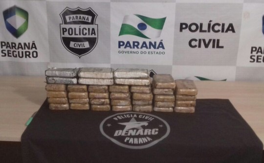 Droga encontrada por cão farejador foi avaliada em R$ 1 milhão. Foto: Divulgação/Polícia Civil