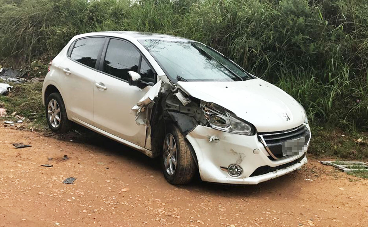 Foto: Divulgação/Guarda Municipal de SJP.