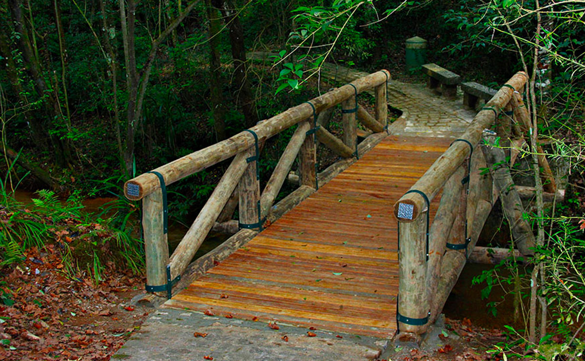 Foto: Prefeitura de Colombo.