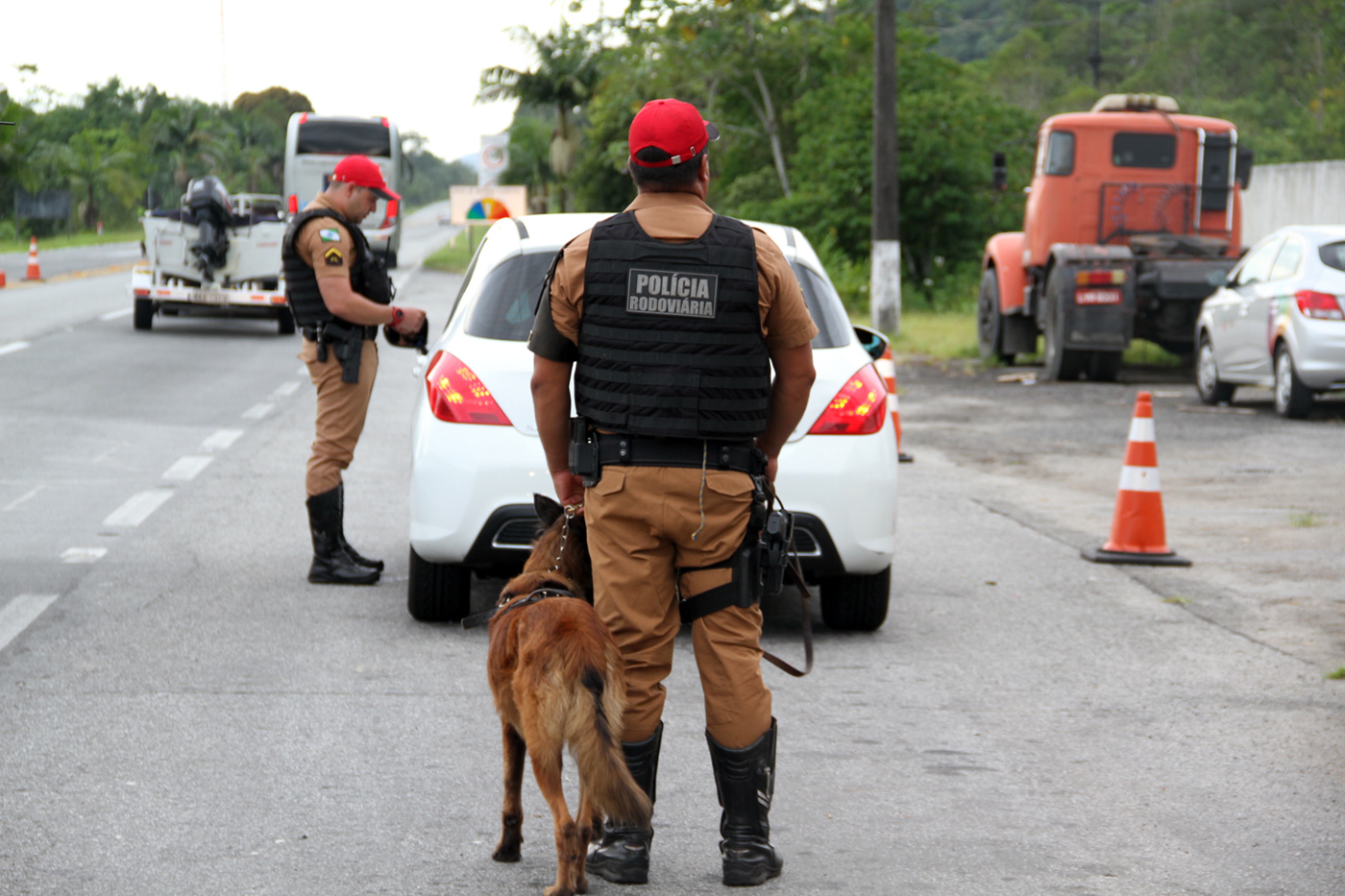 BPRV realiza operação com cães em rodovia. Foto: Divulgação/PMPR