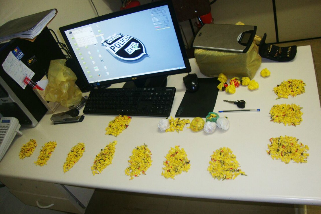 Foto: Polícia Civil/Divulgação