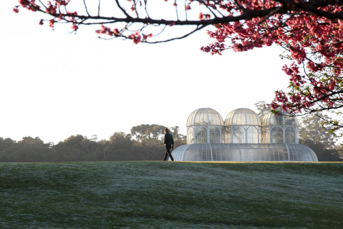 Foto: Aniele Nascimento