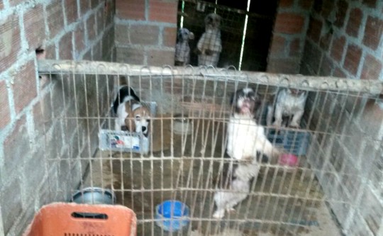 Foto: Divulgação/PM.