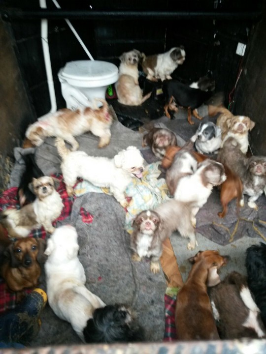 Foto: Divulgação/PM.