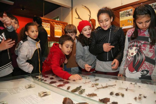 O Museu conta com áreas de exposições onde podem ser conferidos diversos ecossistemas e os animais pertencentes a cada local. Foto: Jaelson Lucas/SMCS