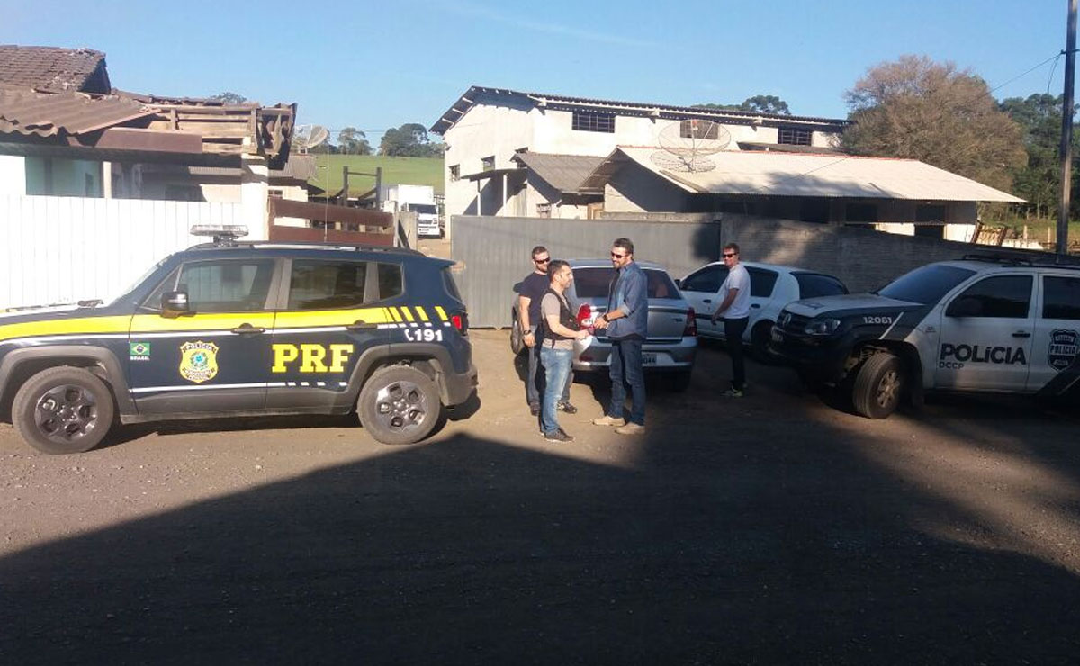 PRF e Polícia Civil fecham abatedouro clandestino que atendia restaurantes e mercados da Grande Curitiba. Foto: Divulgação/PRF.