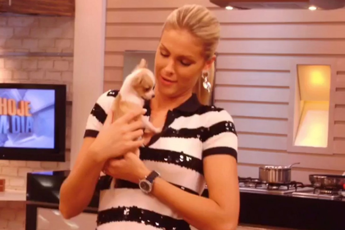 Ana Hickmann lamenta morte de cachorrinha de estimação