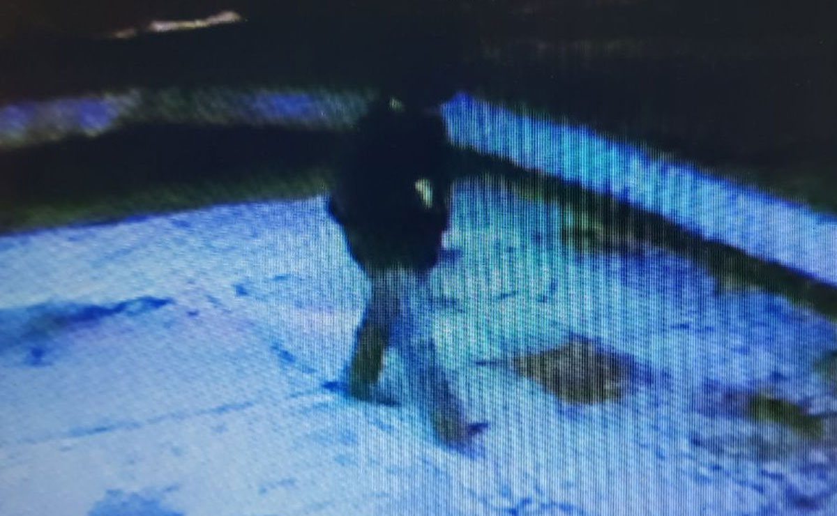 Enio esperou que o rapaz saísse da casa dela, apertou a campainha e quando ela o atendeu, já a asfixiou. Foto: Divulgação/Polícia.