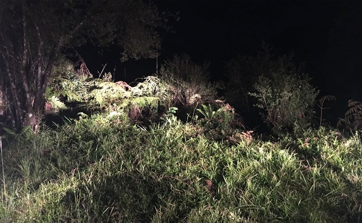 Corpo foi encontrado na divisa de Morretes , no Litoral, com São José dos Pinhais. Foto: Divulgação/ Polícia Civil.