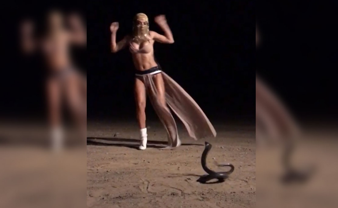 Anitta se assusta com cobra em gravação e flagra viraliza na internet. Foto: Reprodução/Instagram.