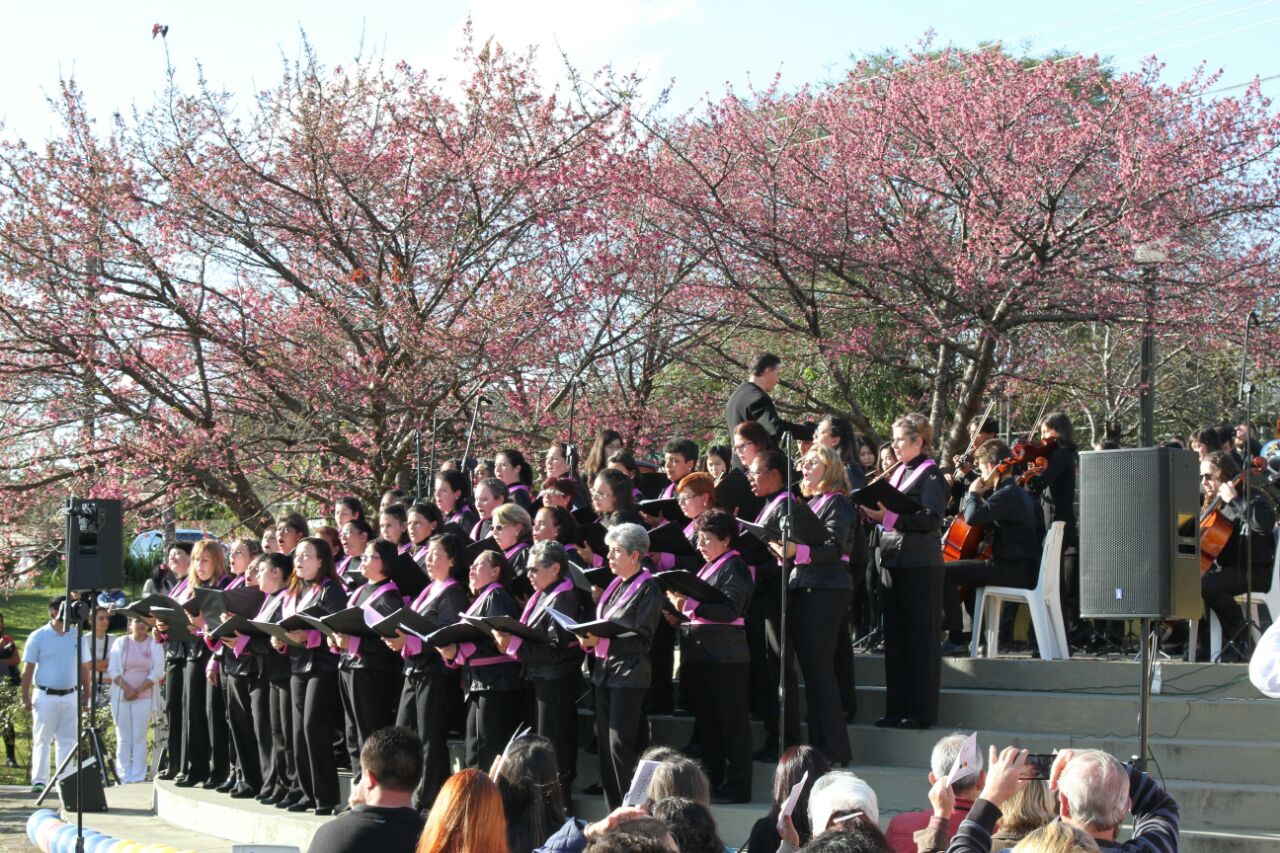Música, dança e cultura japonesa no Jardim das Américas
