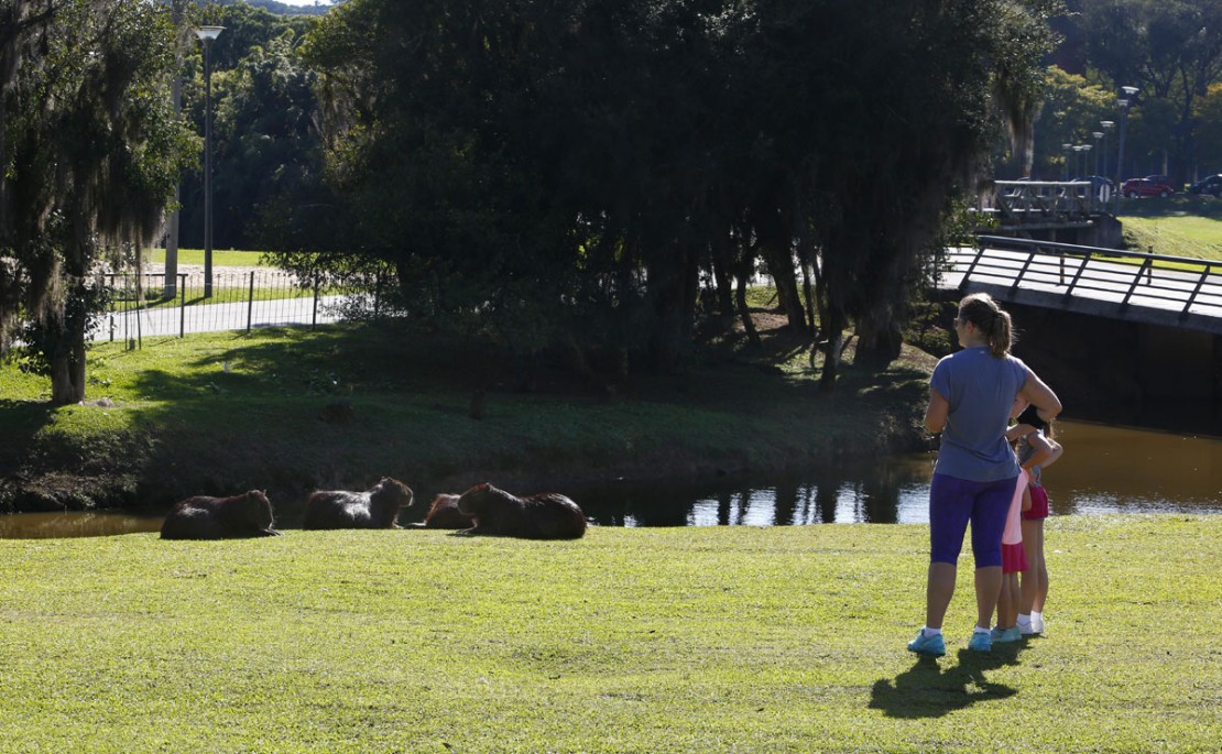Horário de verão pode deixar de ser aplicado no Brasil. Foto: Aniele Nascimento.