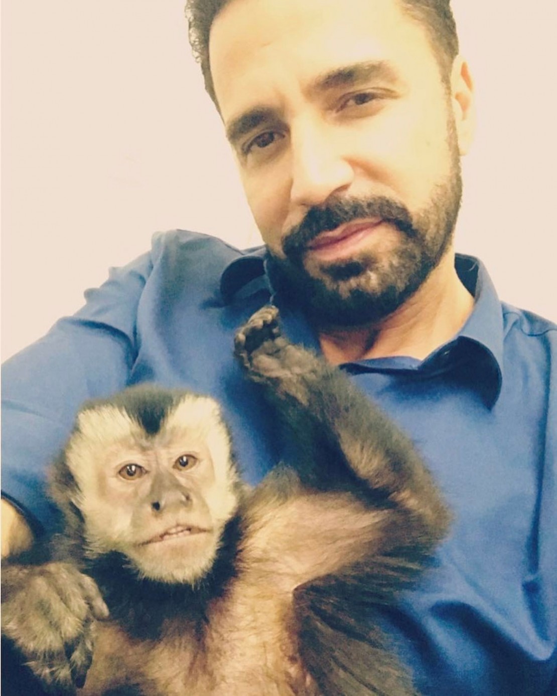 Macaco de Latino foge, mas reaparece ao ouvir o chamado da cuidadora