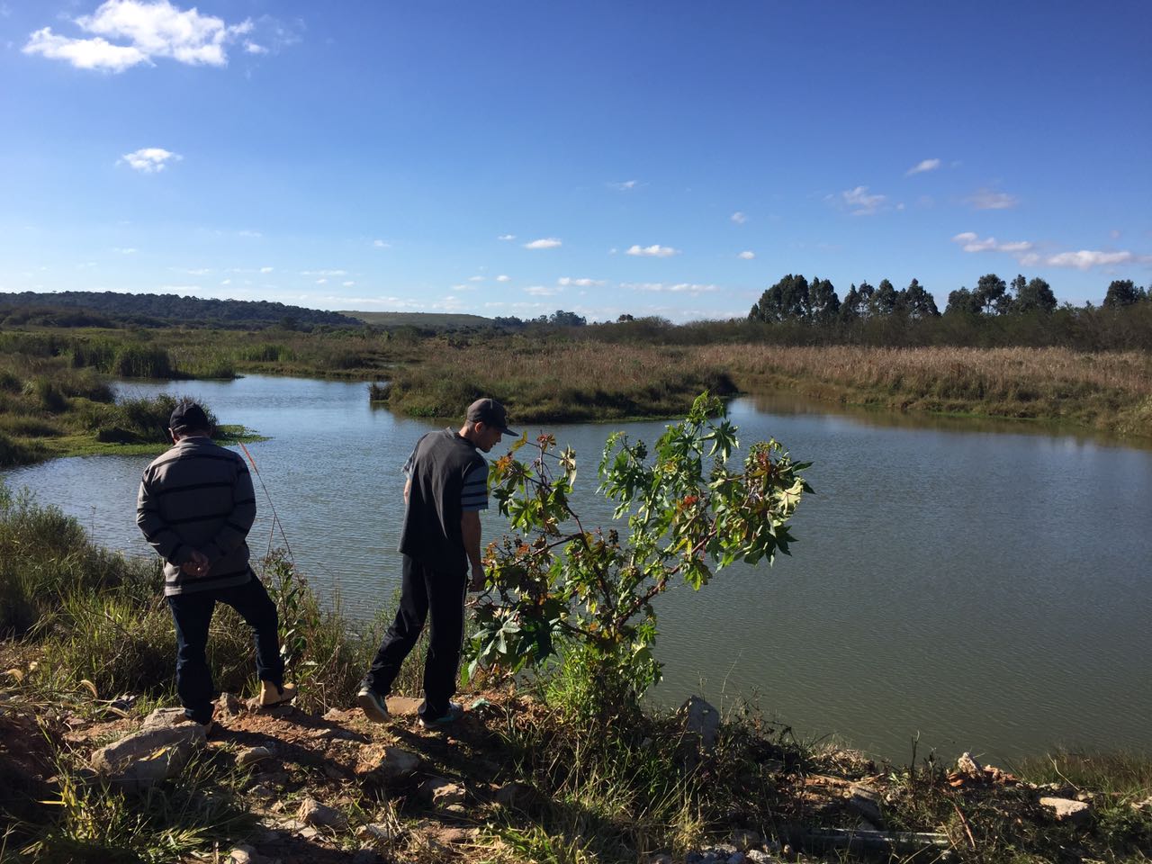 Corpo achado em cava de Fazenda Rio Grande pode ser de cozinheira desaparecida há 10 dias. Foto: Felipe Rosa
