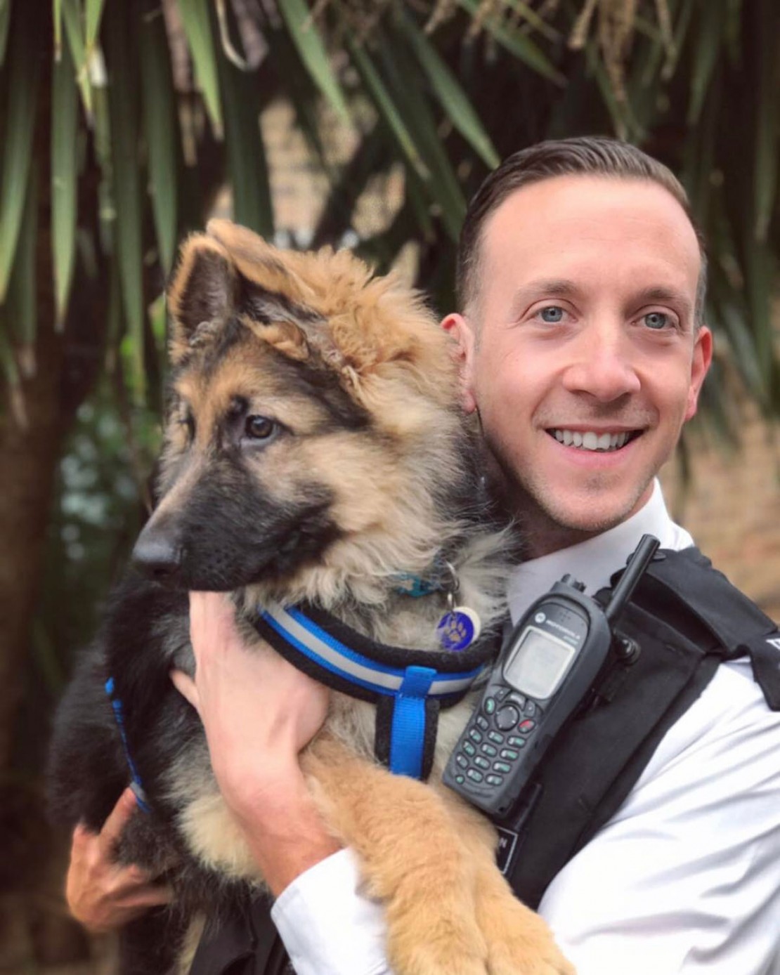 Policial é filmado enquanto dança em carnaval europeu