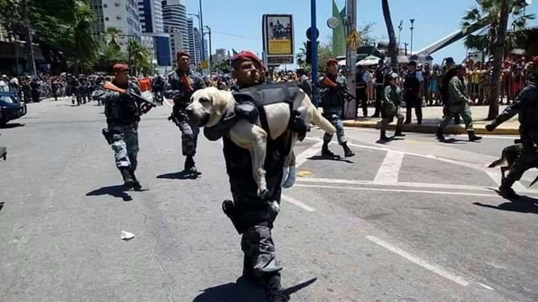 Policial carrega cachorro no colo durante desfile da Independência