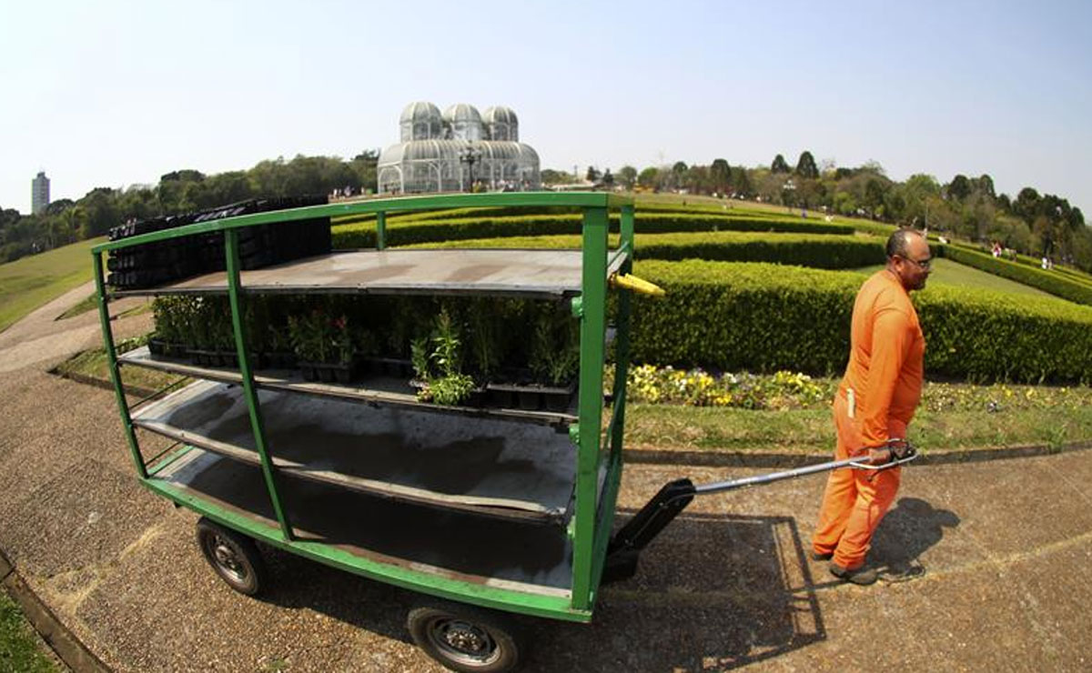 Foto:Daniel Castellano/SMCS