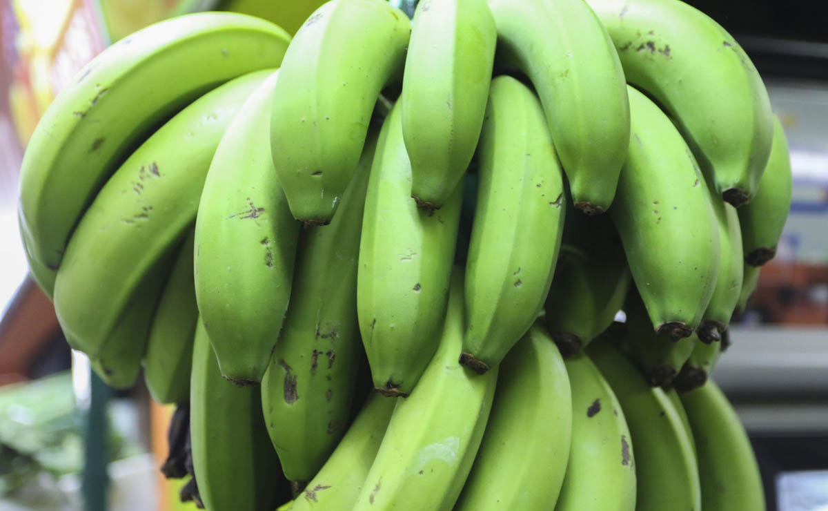 banana-verde