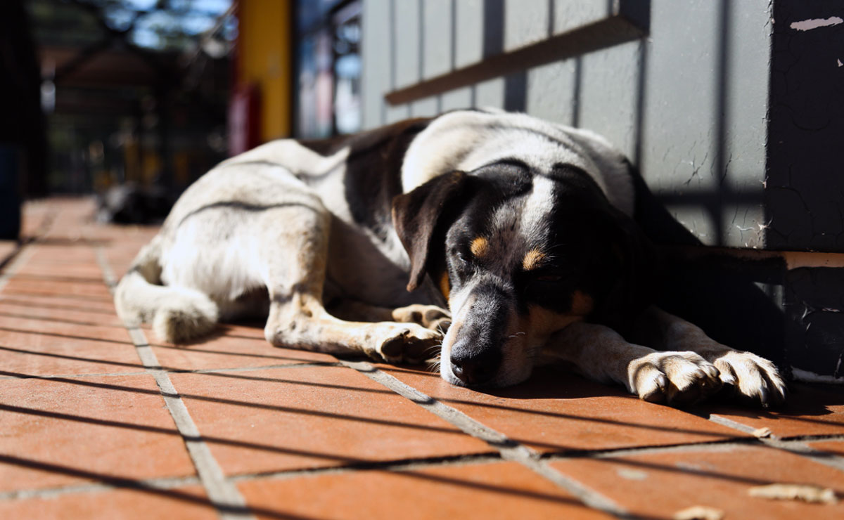 Foto: Divulgação/CMC.