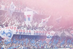 A festa paranista. Foto: Hugo Harada