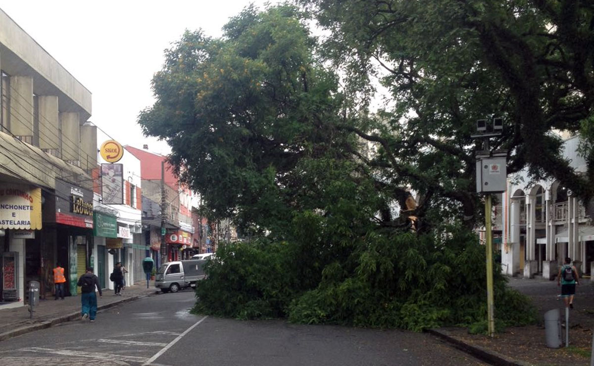 Foto: Divulgação/Setran.