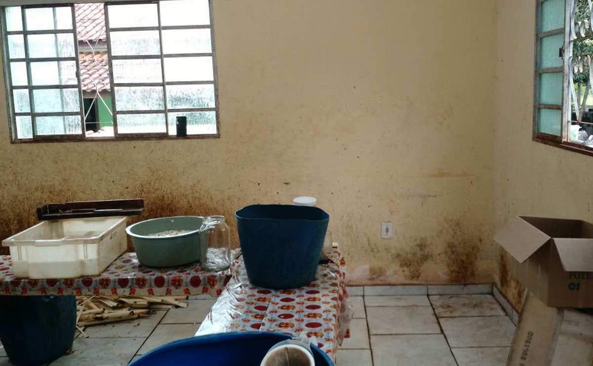 Fábrica onde os palmitos eram colocados no pote foi descoberta por policiais da Rotam da Polícia Ambiental. Foto: Colaboração.