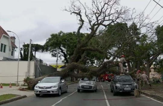 Foto: Reprodução/RPC.