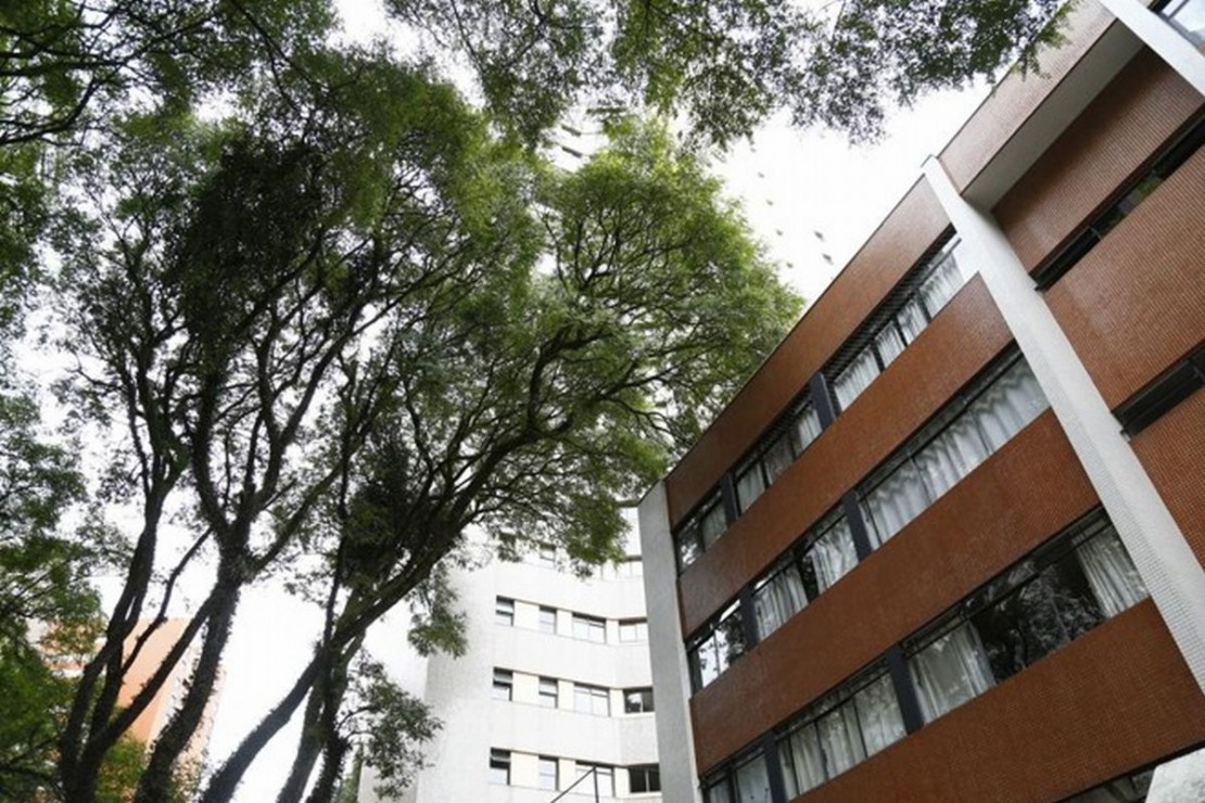 Árvores invadem casas e apartamentos no Água Verde. Foto: Aniele Nascimento.