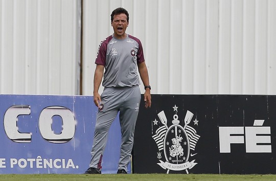 Fernando Diniz durante o jogo-treino. Foto: Marco Galvão/Estadão Conteúdo
