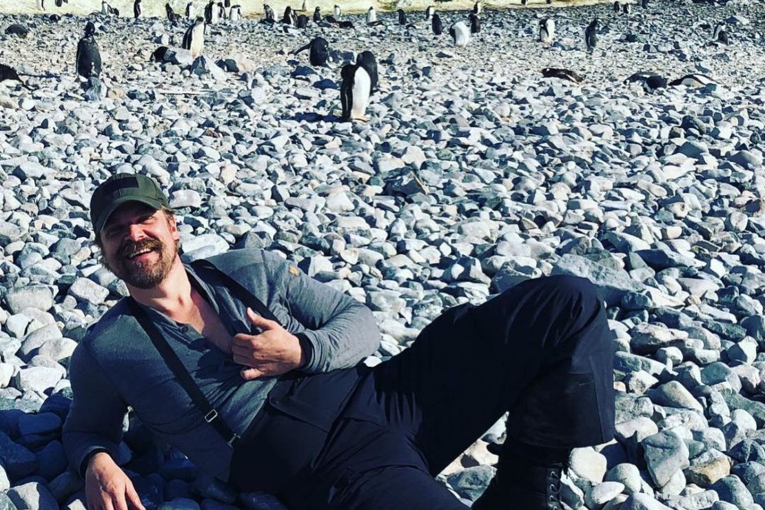 Ator fez ação com os pinguins na Antártida. Foto: Reprodução/Instagram.