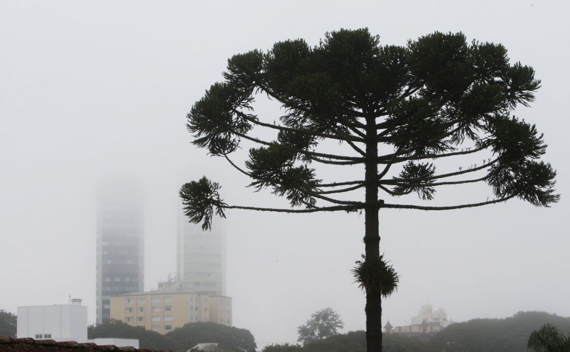 Foto: Aniele Nascimento/Gazeta do Povo.