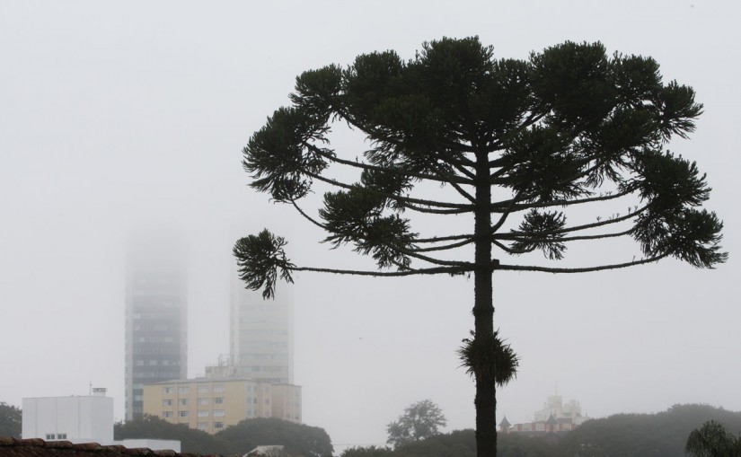 Foto: Aniele Nascimento/Gazeta do Povo.