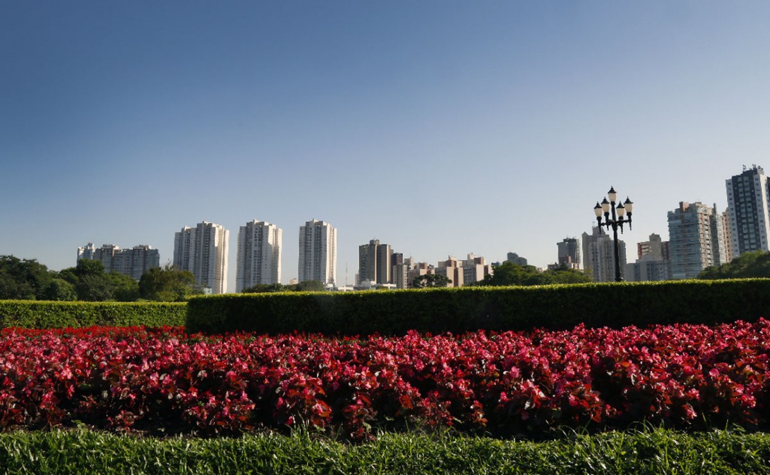 Foto: Aniele Nascimento/Gazeta do Povo.