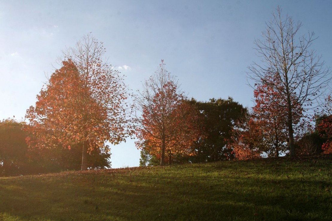 Foto: Fábio Alexandre