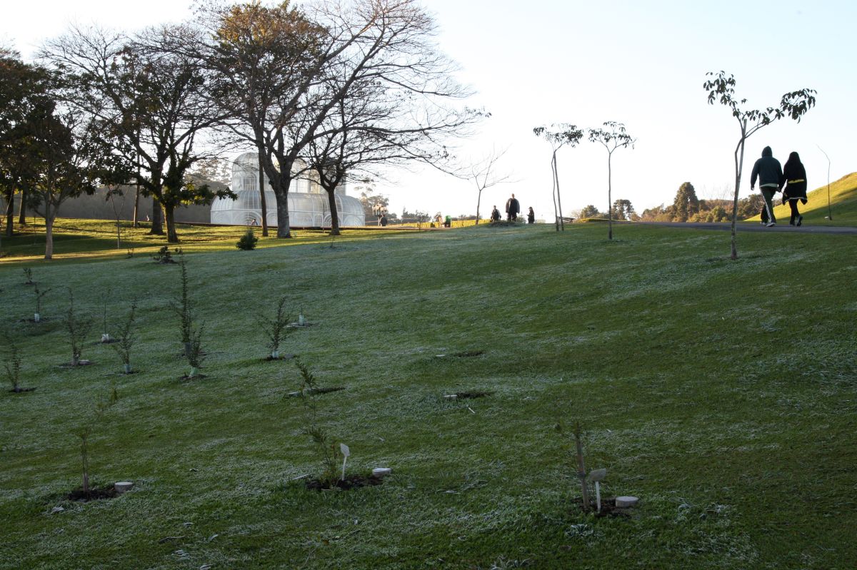 Foto: Aniele Nascimento