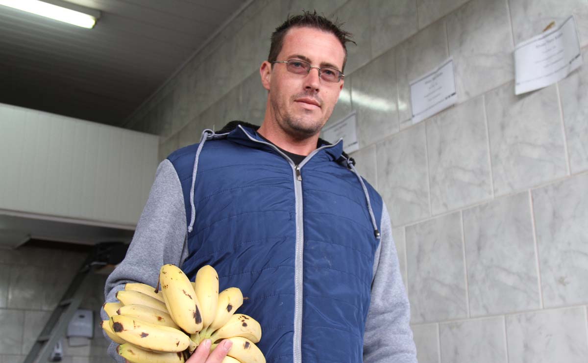 João ainda tem bananas armazenadas, mas tem receio de que as frutas comecem a apodrecer sem transporte. Foto: Gerson Klaina
