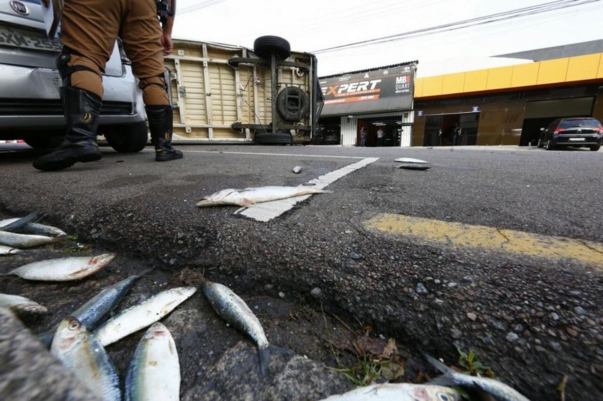 Foto: Aniele Nascimento